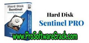 Hard Disk Sentinel Pro v6.01.3 Beta + Fix Free Download