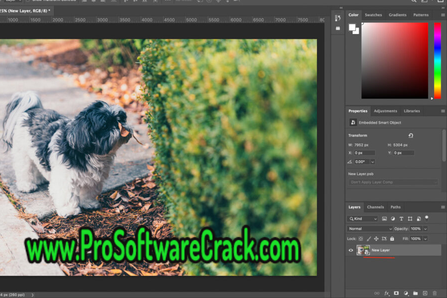 Adobe Photoshop 2022 v23.4.1.547 