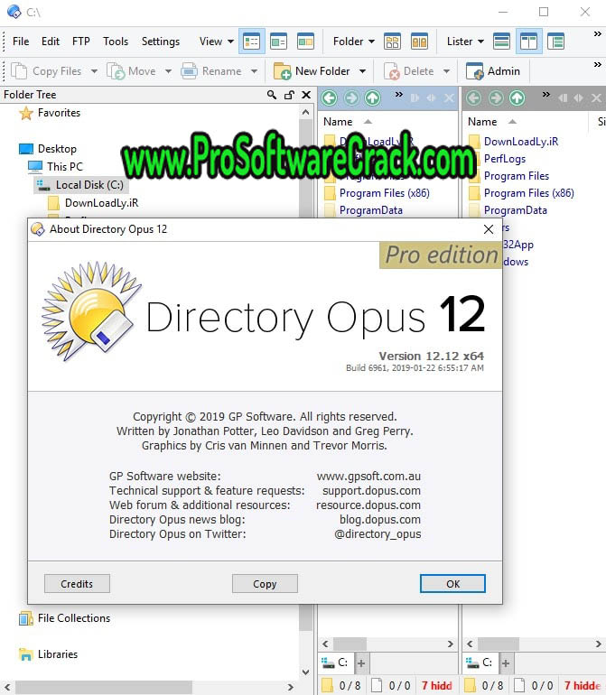 Directory Opus Pro V12.28 Build 8189 (x64) Multilingual + Crack 