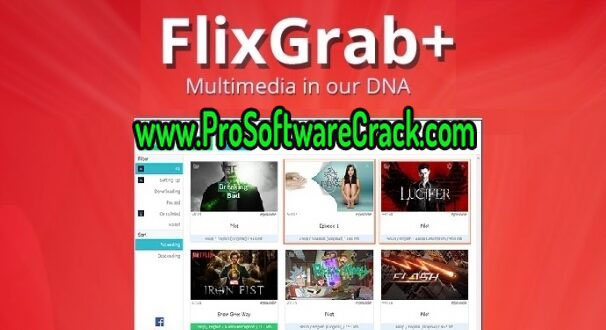 FlixGrab v5.2.3.601 Premium Multilingual + Crack