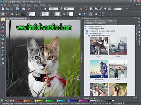 Xara Photo & Graphic Designer 365 12.5.1.48446 + Crack