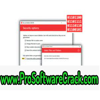 Secure Delete Professional 2022.10 (x64) Multilingual Free Download