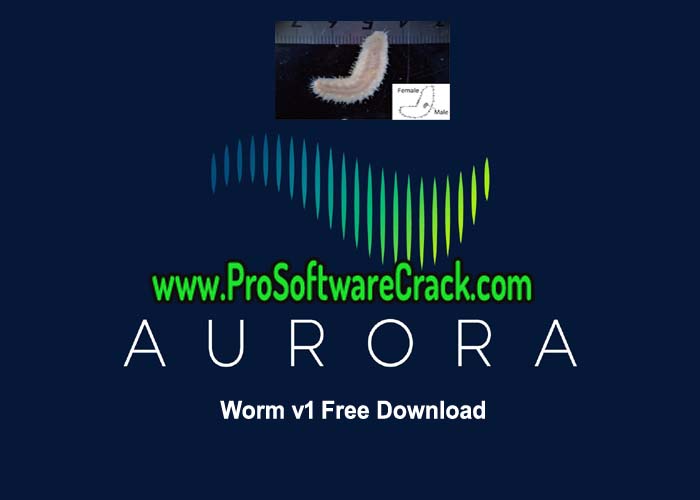 Aurora Worm v1 Free Download