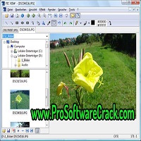 Alternate Pic View 2.920 Free Download