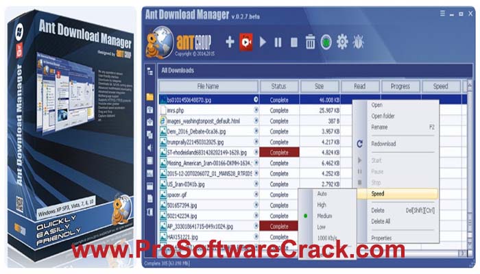 Ant Download Manager Pro 2.1.1 with Key
