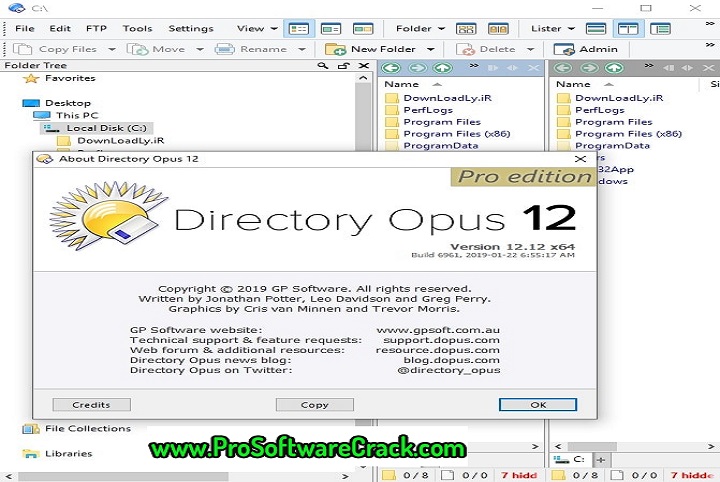 Directory Opus Pro 12.29 Build 8272 (x64) Free Download 