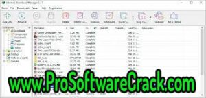 Internet Download Manager v6.41 Build2