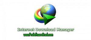 Internet Download Manager v6.41 Build2