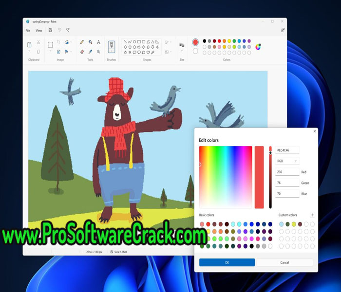 Active Paint Application 1.42 with Key