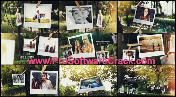 VideoHive Creative Wall Gallery 38194424 with Key