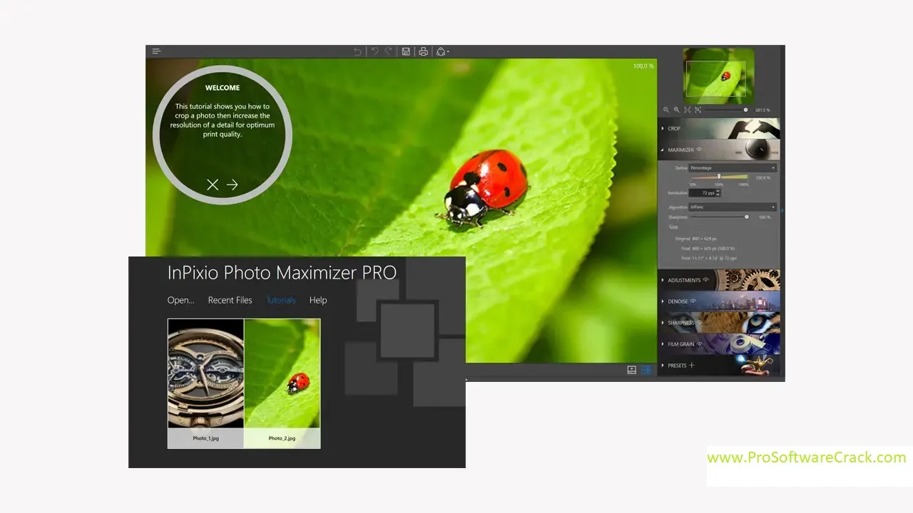 InPixio Photo Maximizer Pro 2026 Free Download